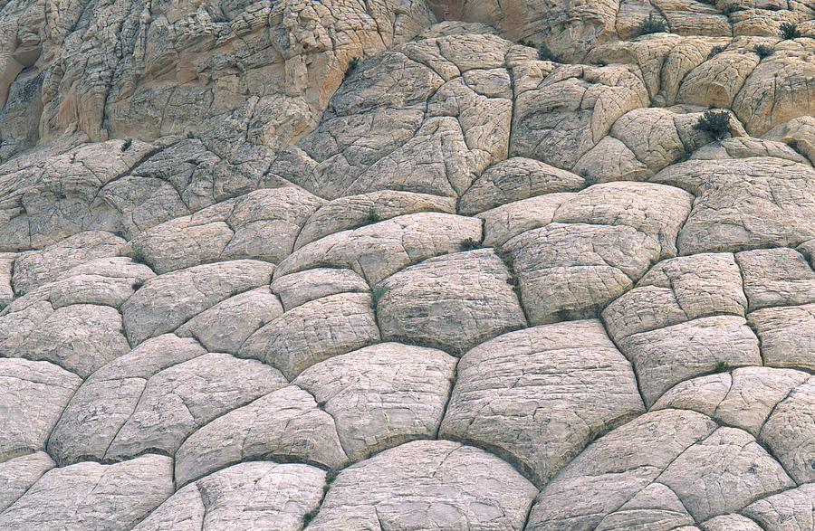 Erosion, Utah Photograph by James Steinberg