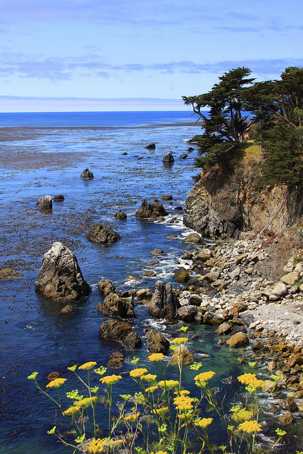 Esalen Photograph by James Knight