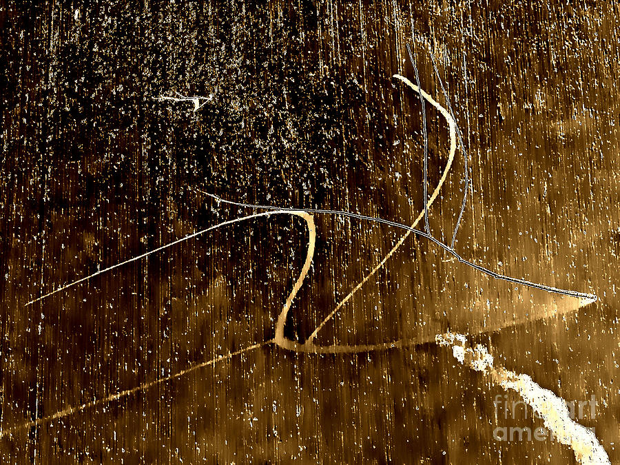 Essence of the Rain Digital Art by Fei A