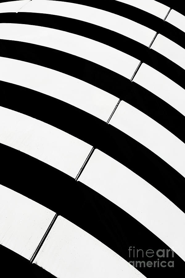 Abstract Photograph - Black and white Stripes by Rod McLean