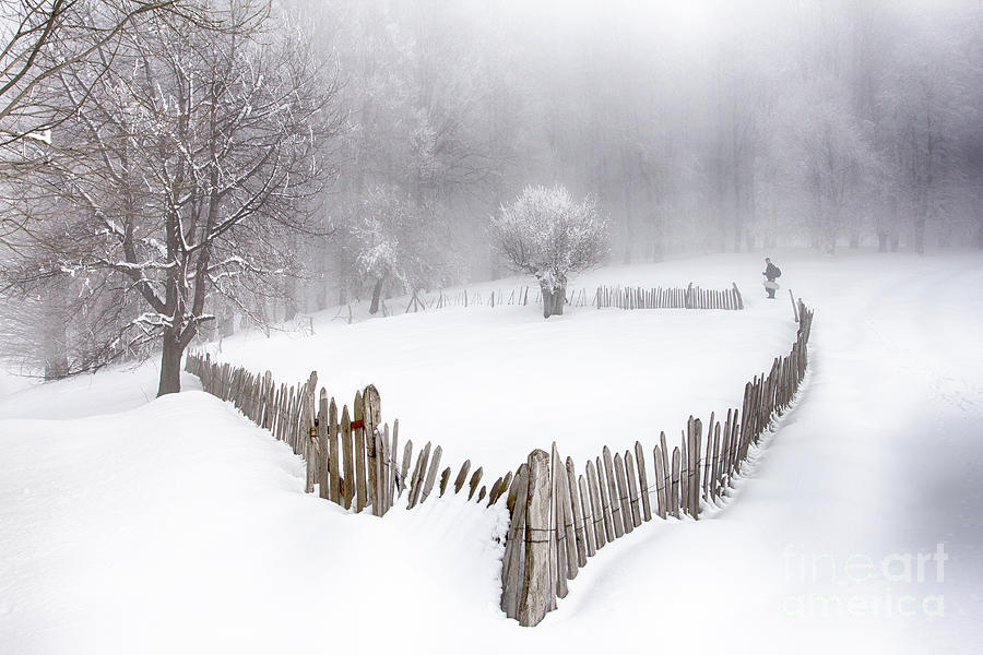 Winter Photograph - Estate by Adrian Urbanek