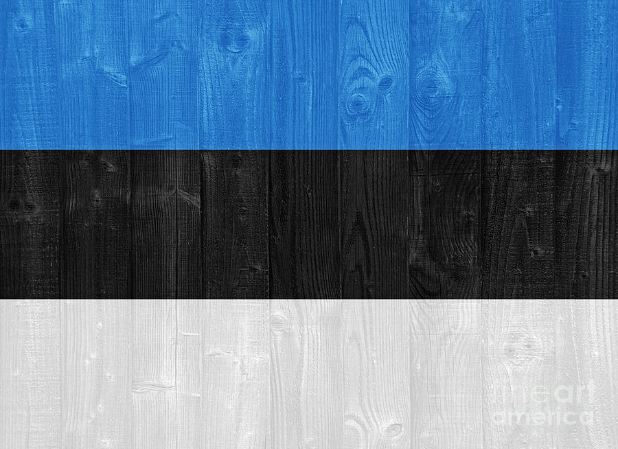 Estonia Flag Photograph