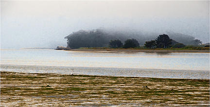 Landscape Photograph - Estuary by Marcia Poole and Louis Cuneo