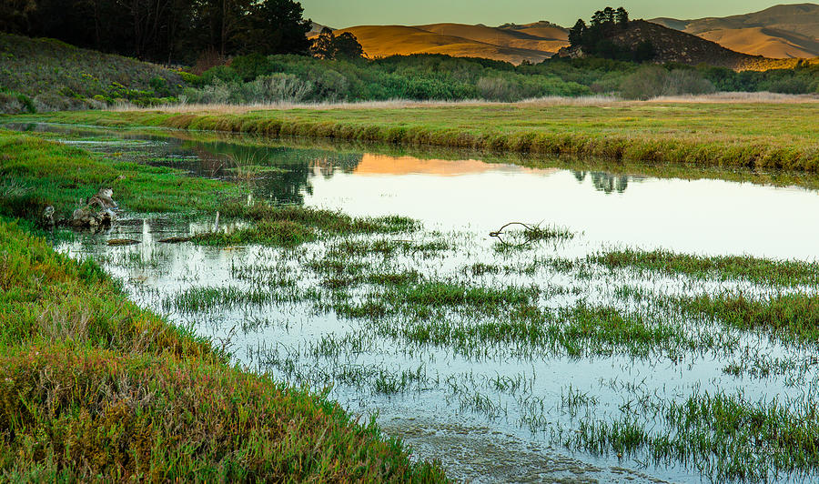 Central Coast Photograph - Estuary Reflections....  Morro Bay by Tim Bryan