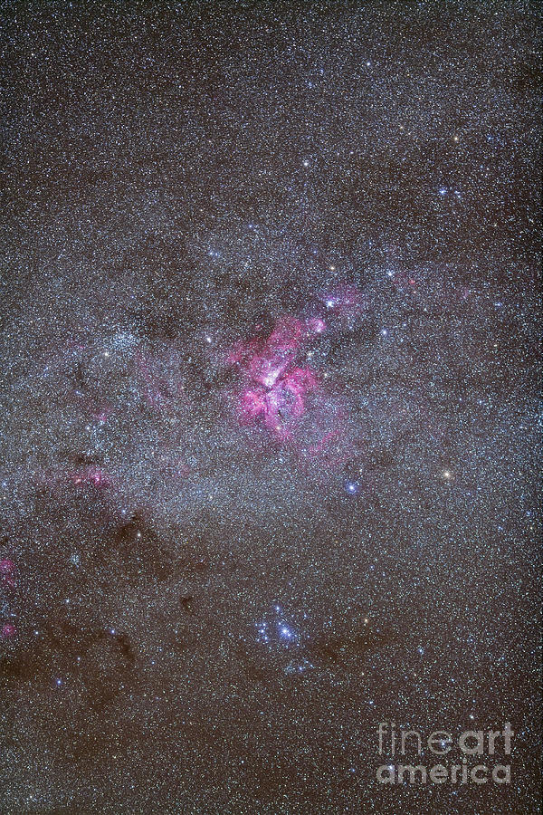 Space Photograph - Eta Carinae Nebula Area Of The Southern by Alan Dyer