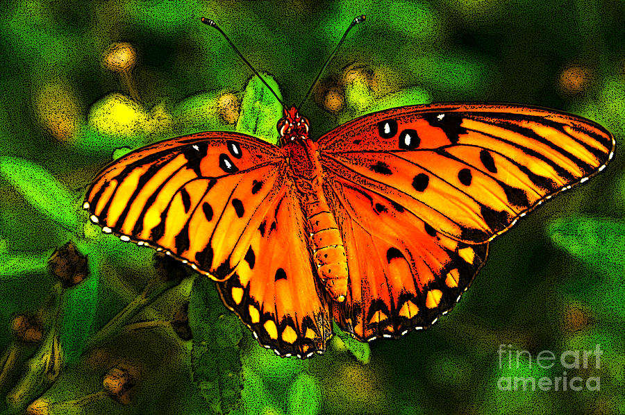 Etched In Beauty Digital Art by Kim Pate Fine Art America