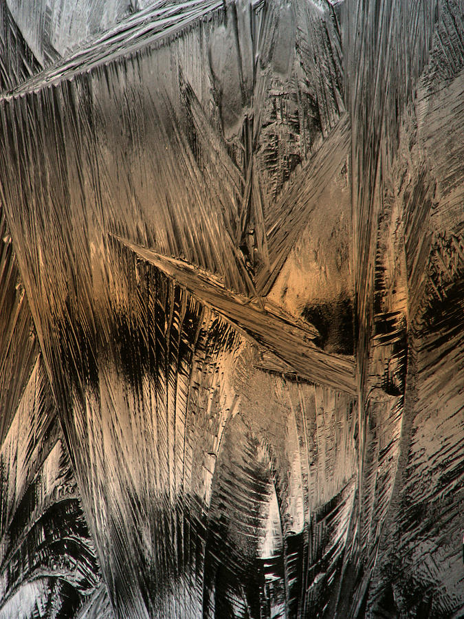 Etched In Ice Photograph by Gary Blackman