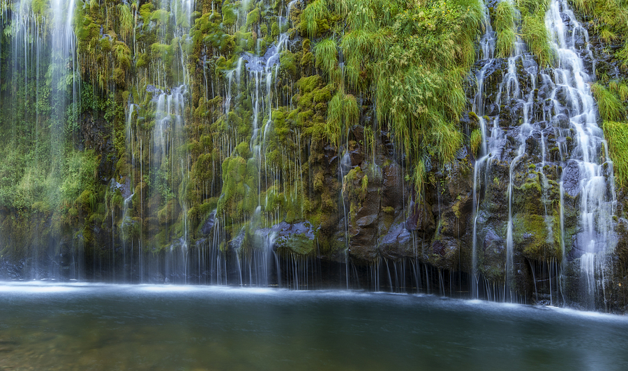 Eternal Spring Photograph by Loree Johnson Fine Art America