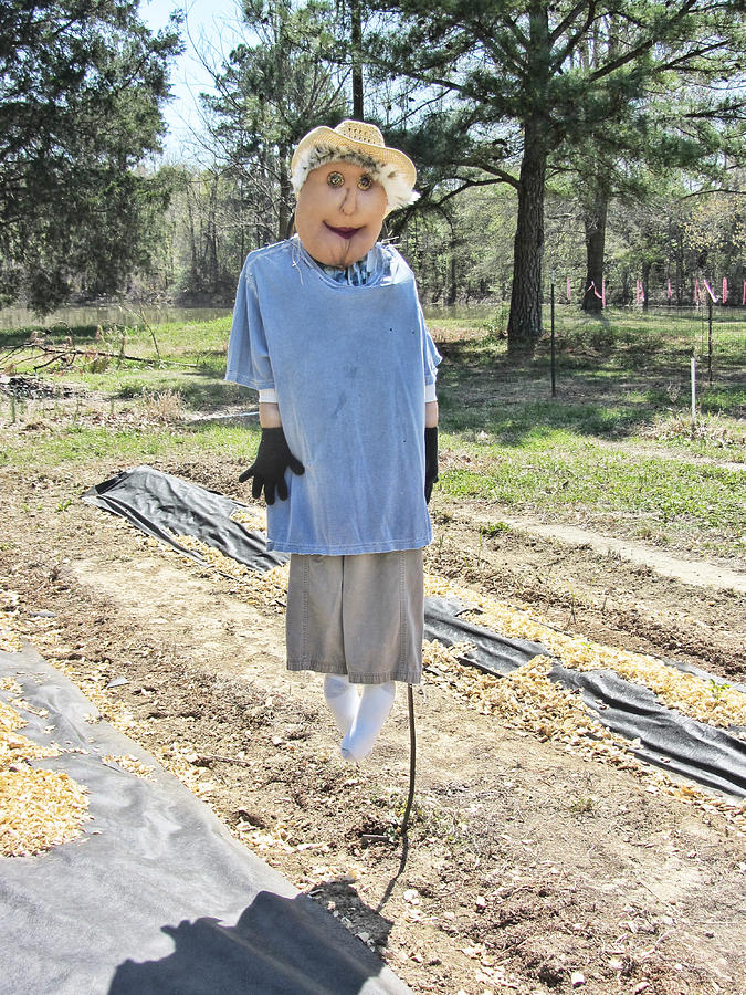 Ethel The Scarecrow 2 Photograph by Kathy Clark