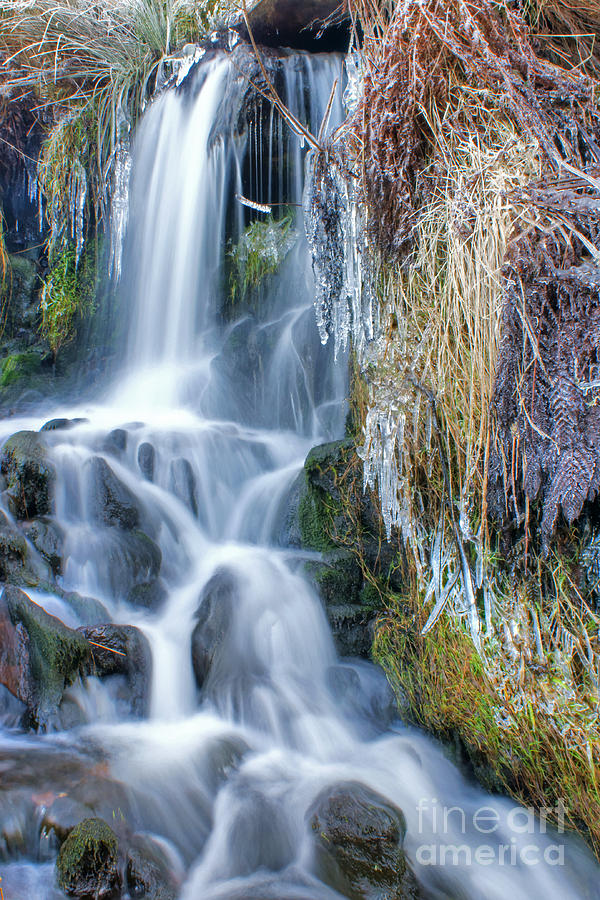 Winter Photograph - Ethereal Flow by David Birchall