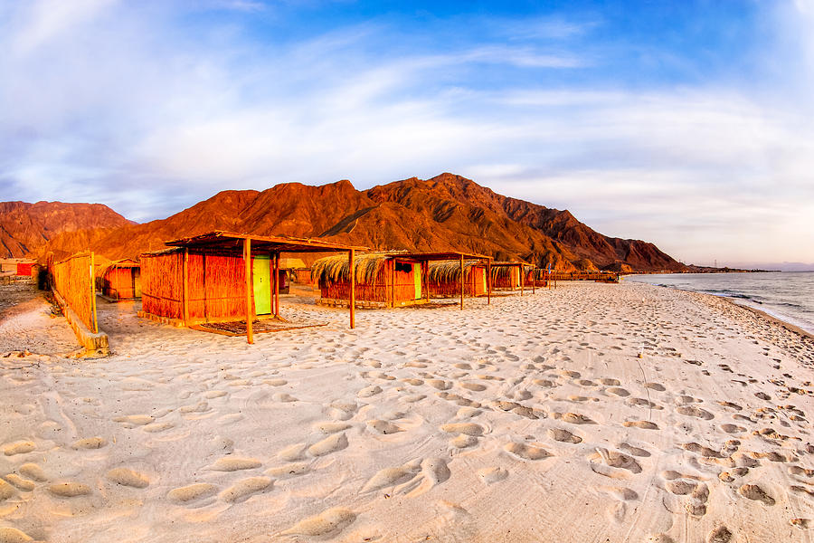 Ethereal Morning on a Red Sea Beach Photograph by Mark Tisdale