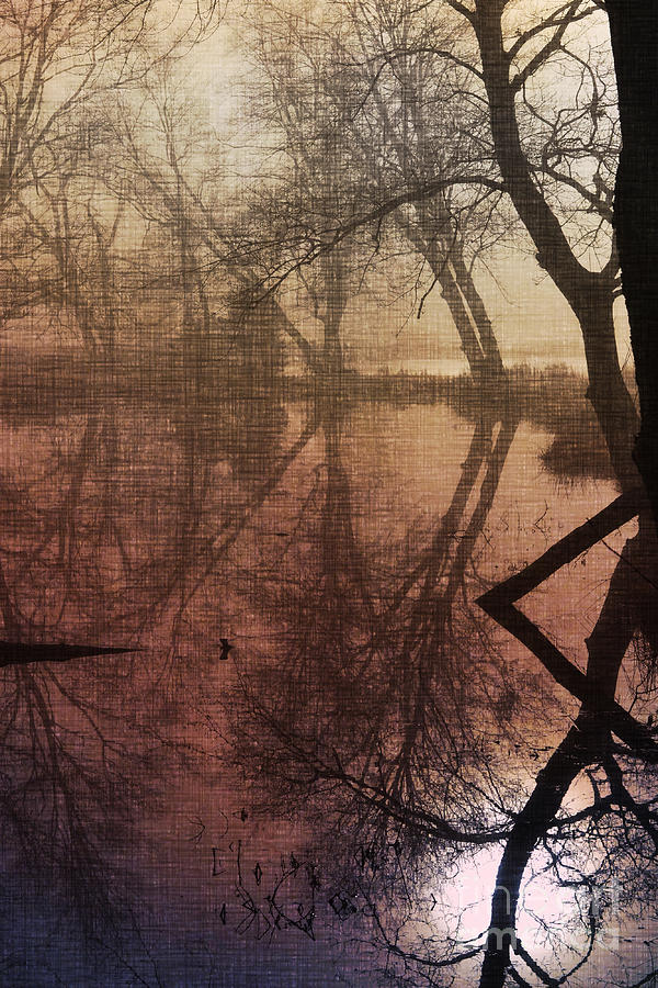 Tree Photograph - Ethereal Reflections by Carlee Ojeda
