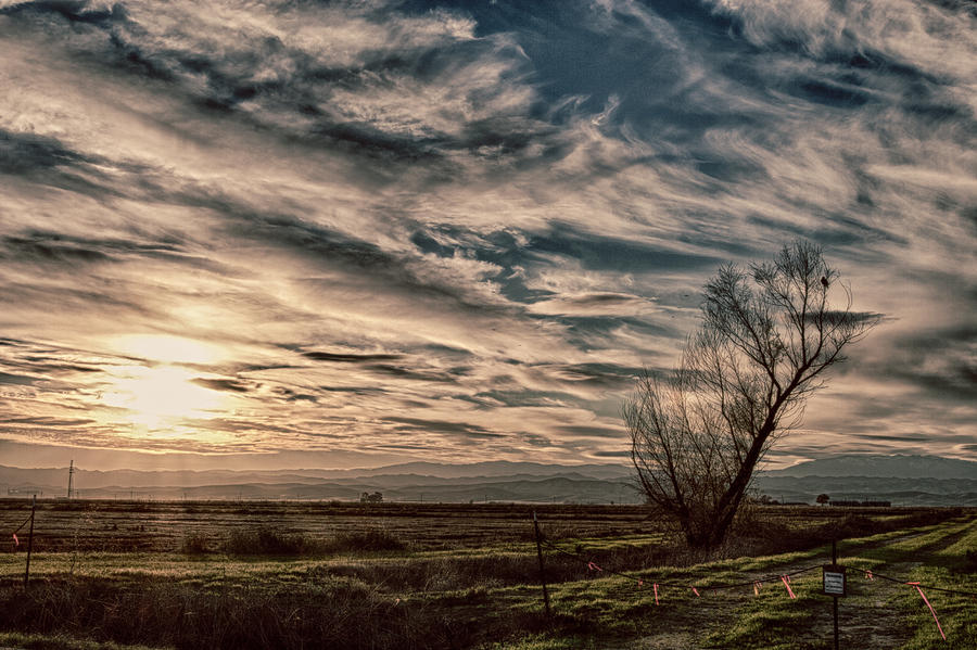Sunset Photograph - Ethereal Sky by Lisa Chorny