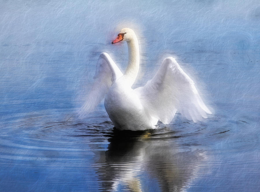Ethereal Swan Wings Photograph by Clare VanderVeen