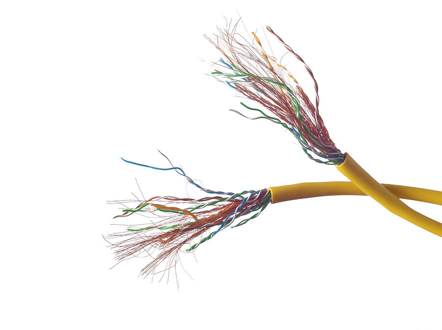 Ethernet Cords Photograph by Jonathan Kantor