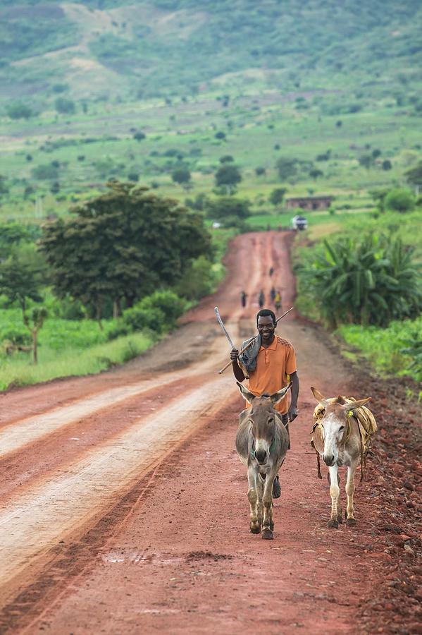 Donkey Photograph - Ethiopian Farmer Walking Donkeys by Peter J. Raymond