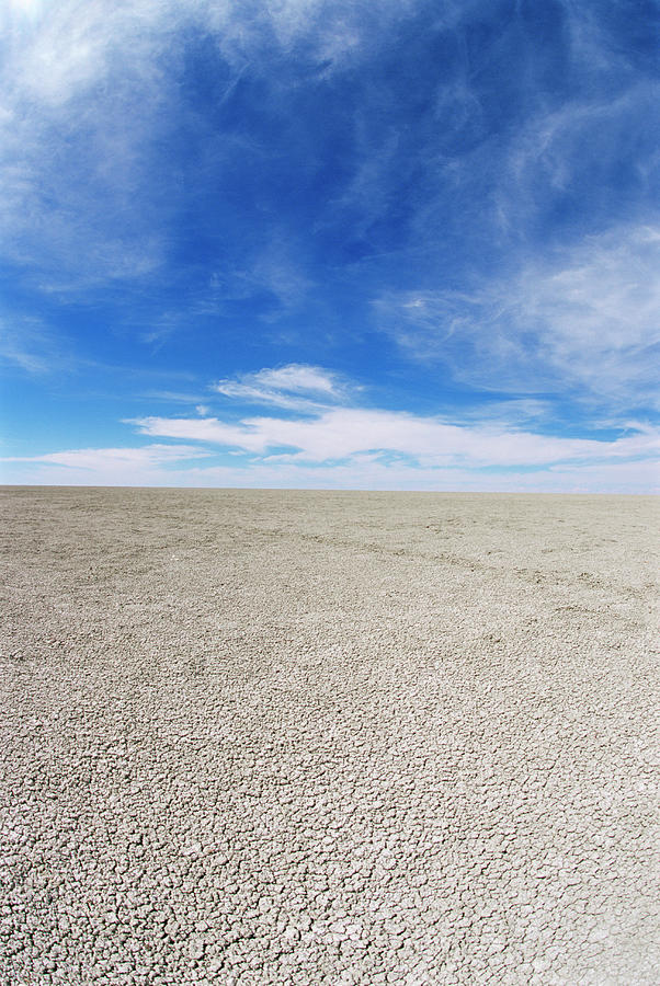 Etosha Pan Photograph by Sinclair Stammers/science Photo Library