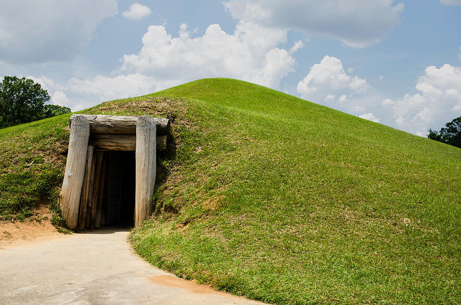 Etowah Indian Earth Lodge Mounds by Millard H. Sharp