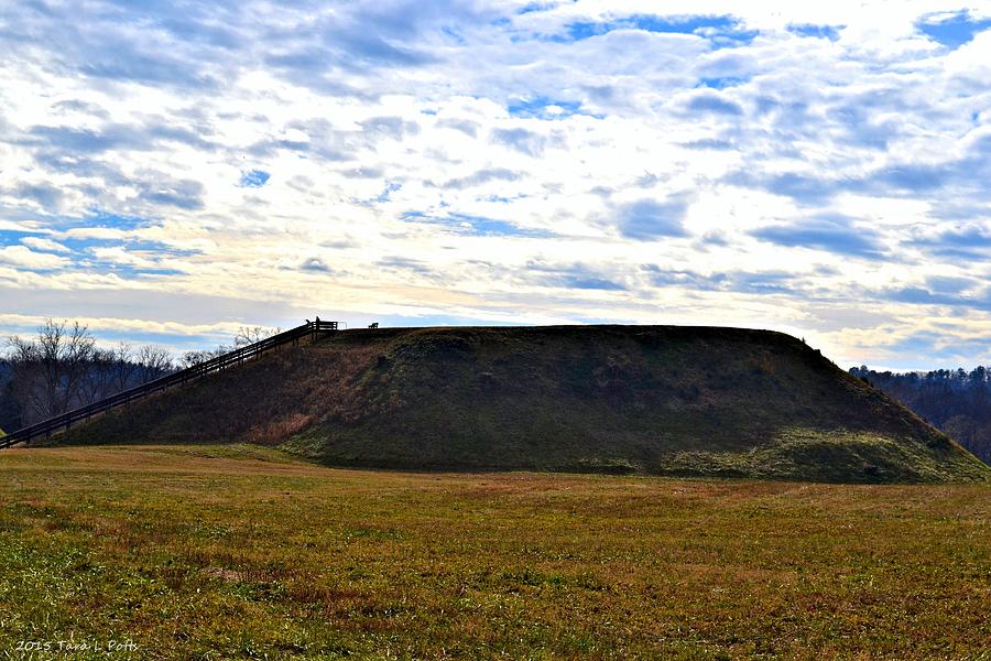 Etowah Indian Mounds Photograph by Tara Potts
