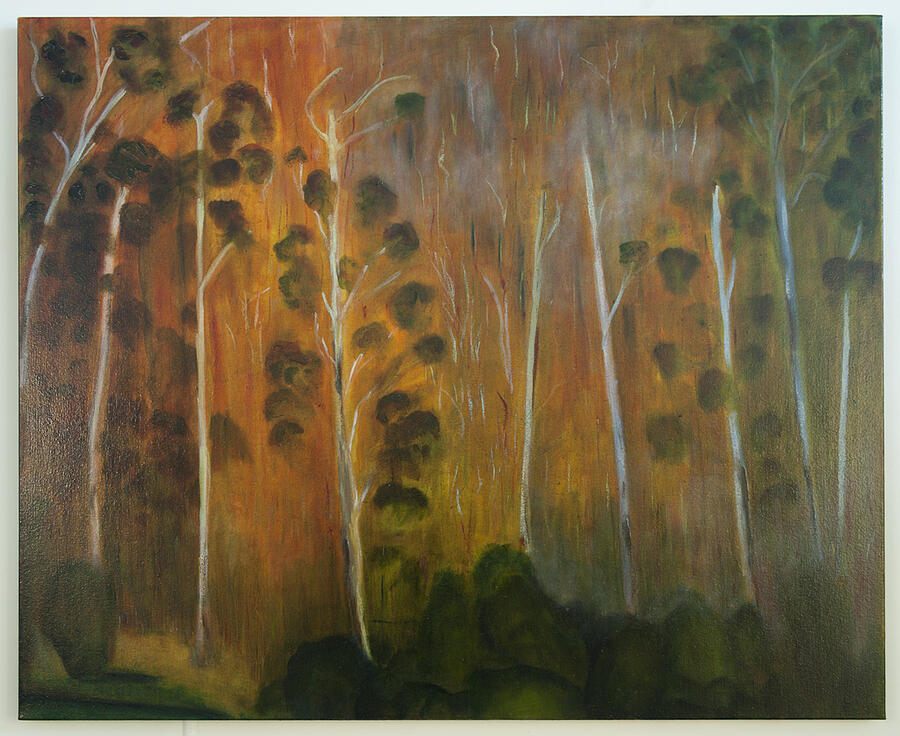 Eucalypt Forest 7- 2013        Painting by Robert Silverton