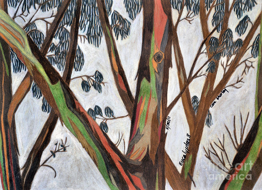 Up Movie Painting - Eucalyptus 3 by Cora Eklund