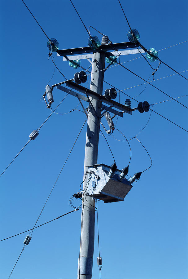 Eucalyptus Telephone Pole Photograph by Alex Bartel/science Photo ...