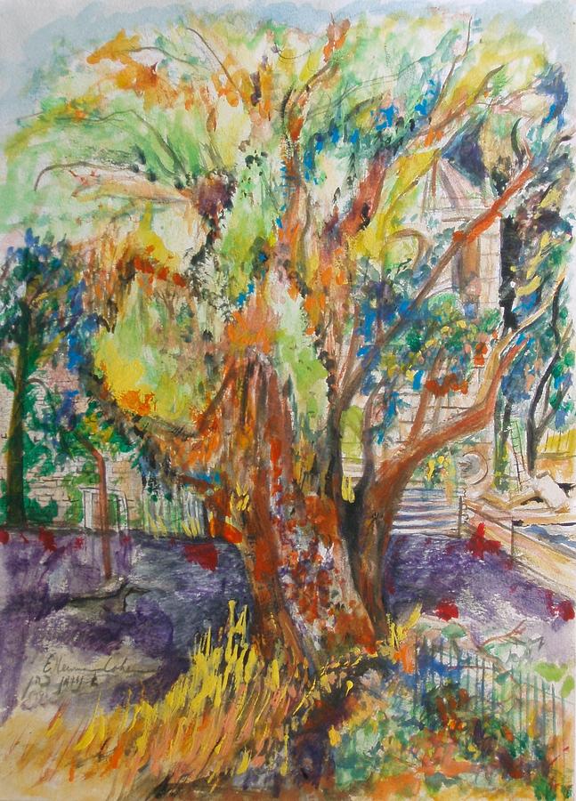 Eucalyptus Tree at Efrata School  Jerusalem Painting by Esther Newman-Cohen