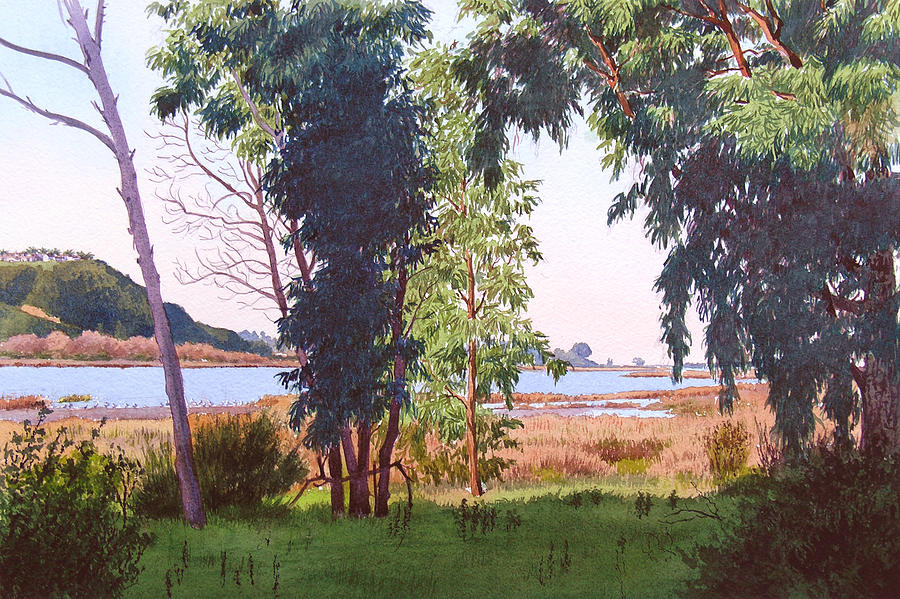 Eucalyptus Trees at Batiquitos Lagoon Painting by Mary Helmreich
