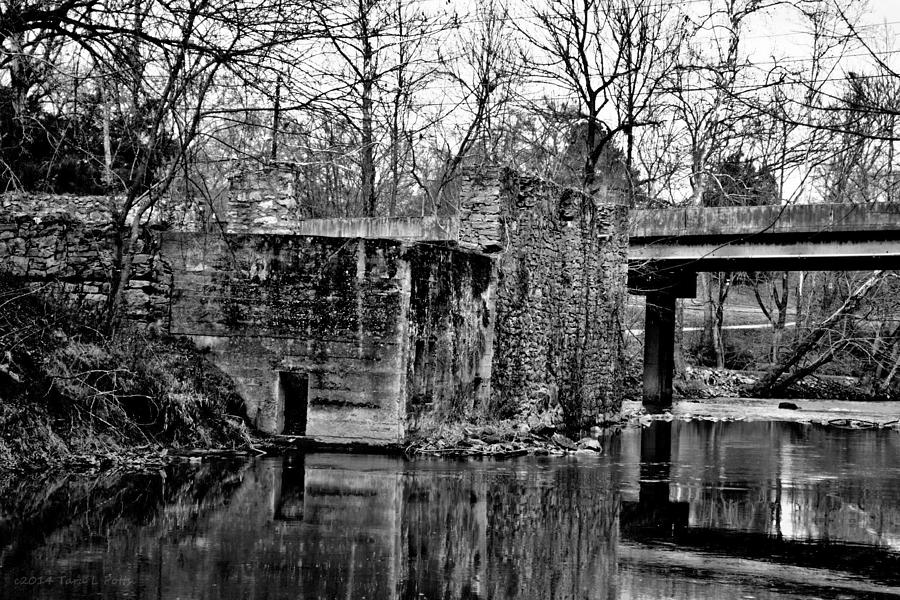 Euharlee Grist Mill Ruins Photograph by Tara Potts