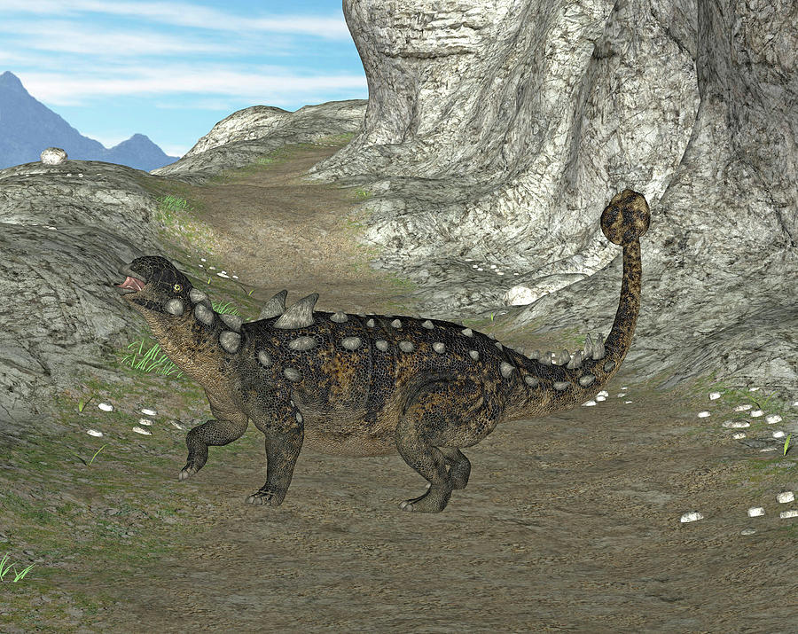 euoplocephalus fossil