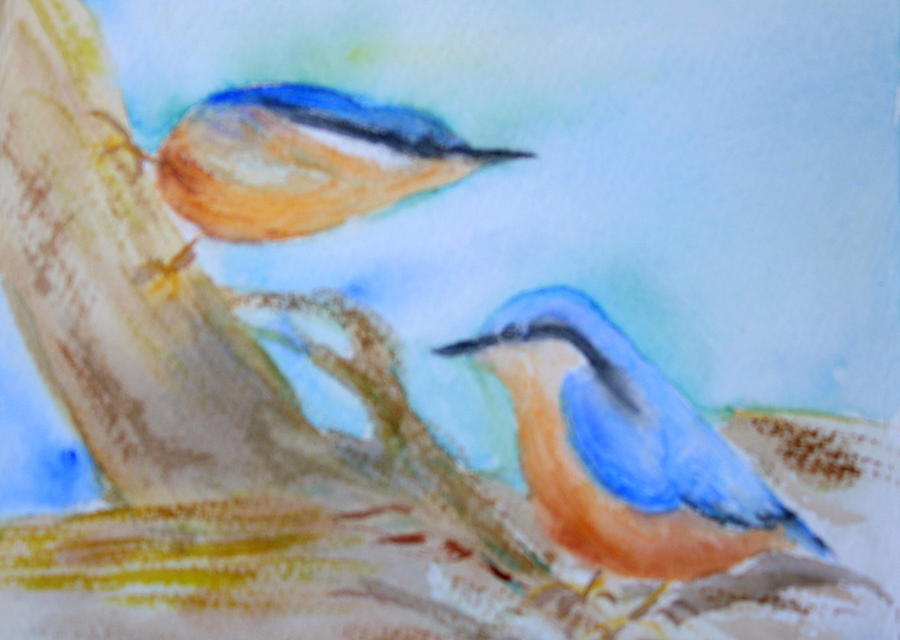 Bird Painting - Eurasian Nuthatch by Donna Walsh