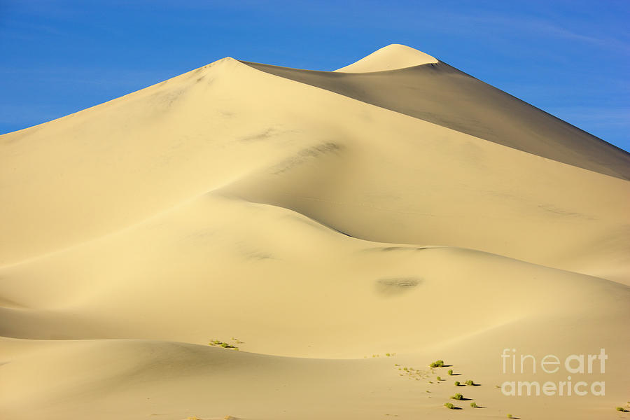 Eureka Dunes in Death Valley Photograph by Yva Momatiuk John Eastcott