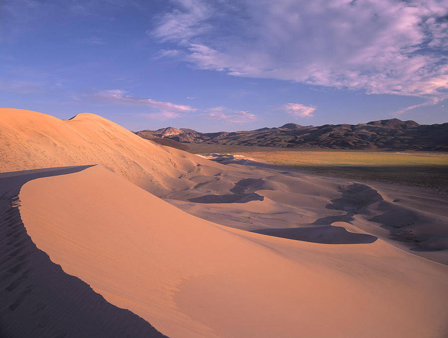 Eureka Dunes in Death Valley  Photograph by Tim Fitzharris