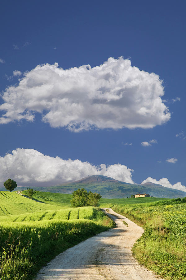 Agriculture Photograph - Europe, Italy, Tuscany by Jaynes Gallery Agriculture Photograph - Europe, Italy, Tuscany by Jaynes Gallery