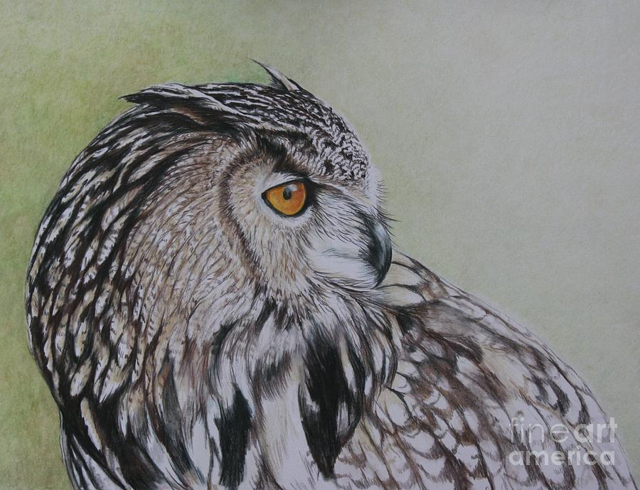 European Eagle Owl Painting by Charlotte Yealey