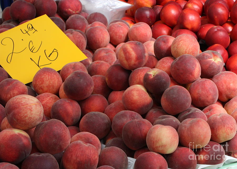 European Markets - Peaches and Nectarines Photograph by Carol Groenen