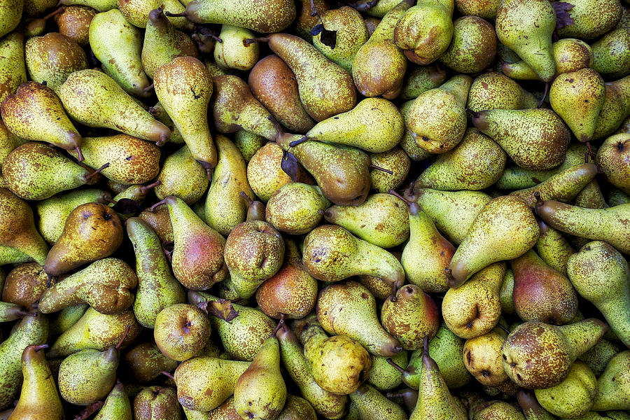 European pears Photograph by Fabrizio Troiani