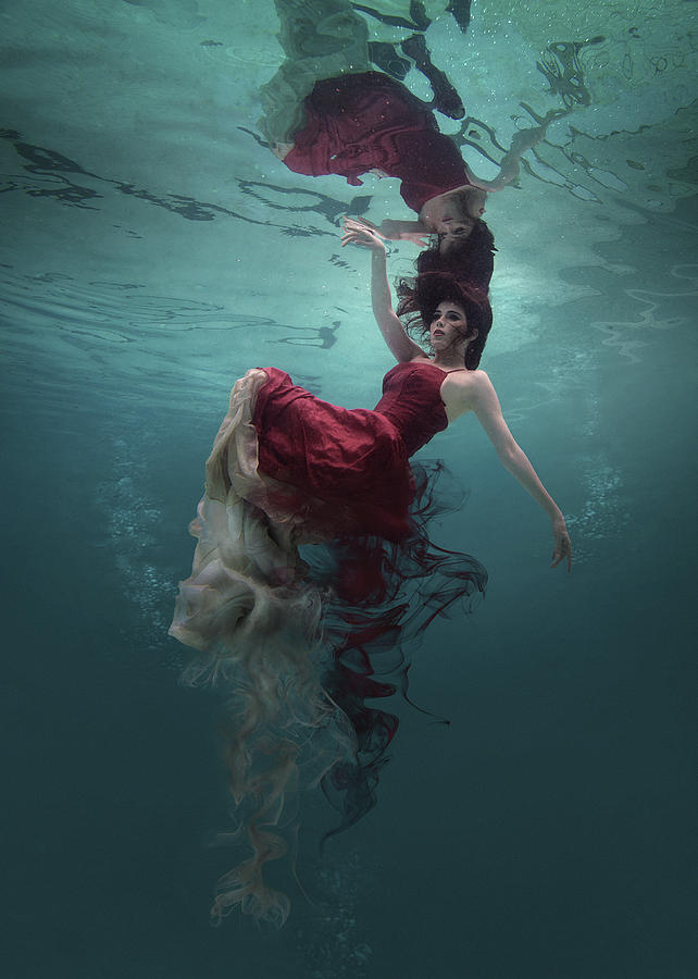 Underwater Photograph - Evanesced by Martha Suherman