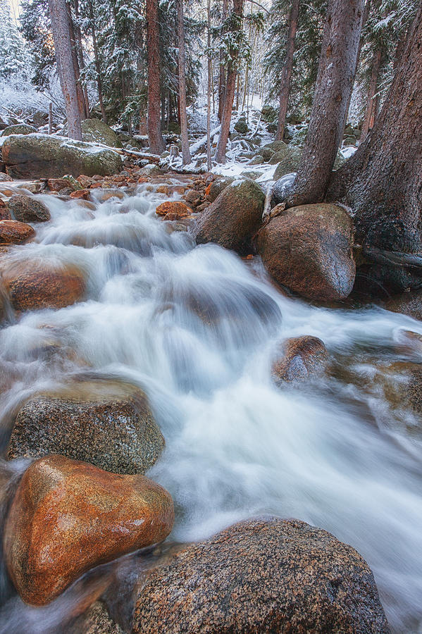 Winter Photograph - Evans Creek by Darren White
