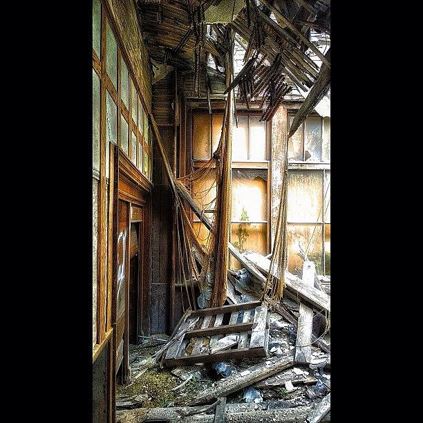 Even In Its Final Stages Of Decay Photograph by IKON Pennie