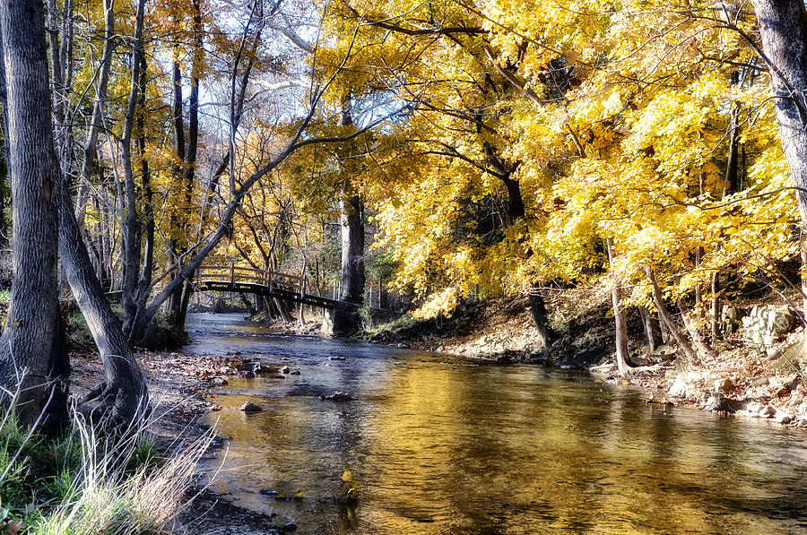 Fall Photograph - Even in the Quietest Moments by Bill Cannon