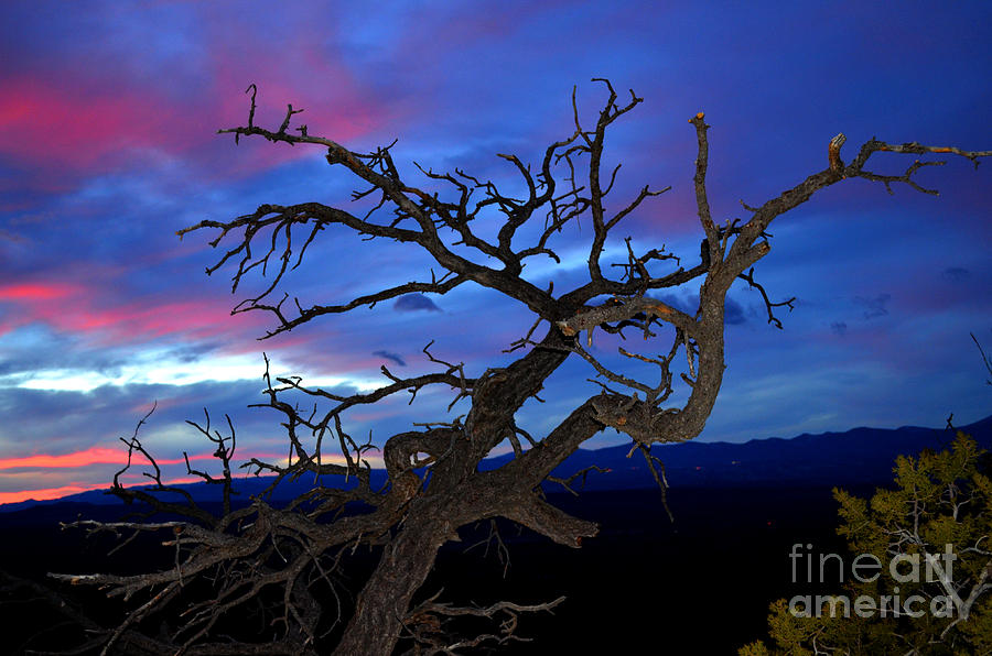 New Mexico Landscape Photograph - Evening Arises by Susanne Still