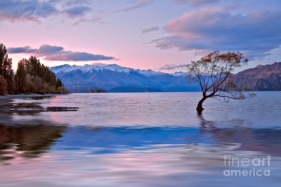 Landscape Photograph - Evening at Lake Wanaka by Sheila Smart Fine Art Photography