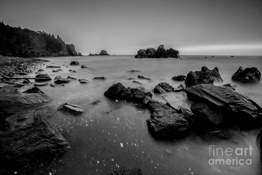 Nature Photograph - Evening at Spruce Cape by Steven Reed