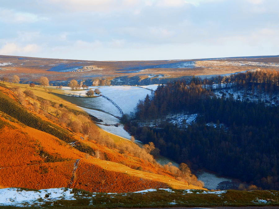 Tree Photograph - Evening At The Horseshoe Pass by Brainwave Pictures