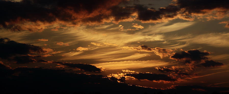 Sunset Photograph - Evening Brush by Alan Skonieczny