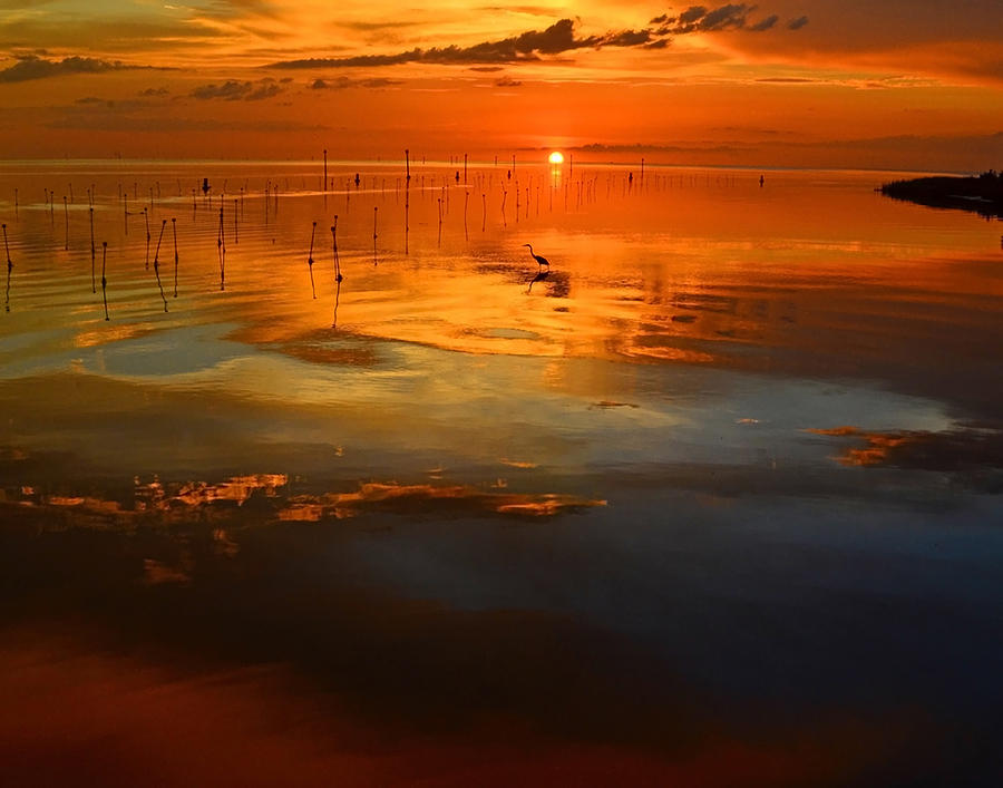 Sunset Photograph - Evening Fishing by Stuart Harrison