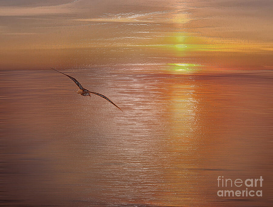 Majestic Seagull Soaring Over Ocean at Sunset Digital Art by Landscape