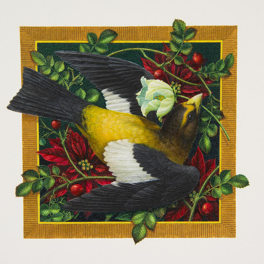 Christmas Painting - Evening Grosbeak by Lynn Bywaters