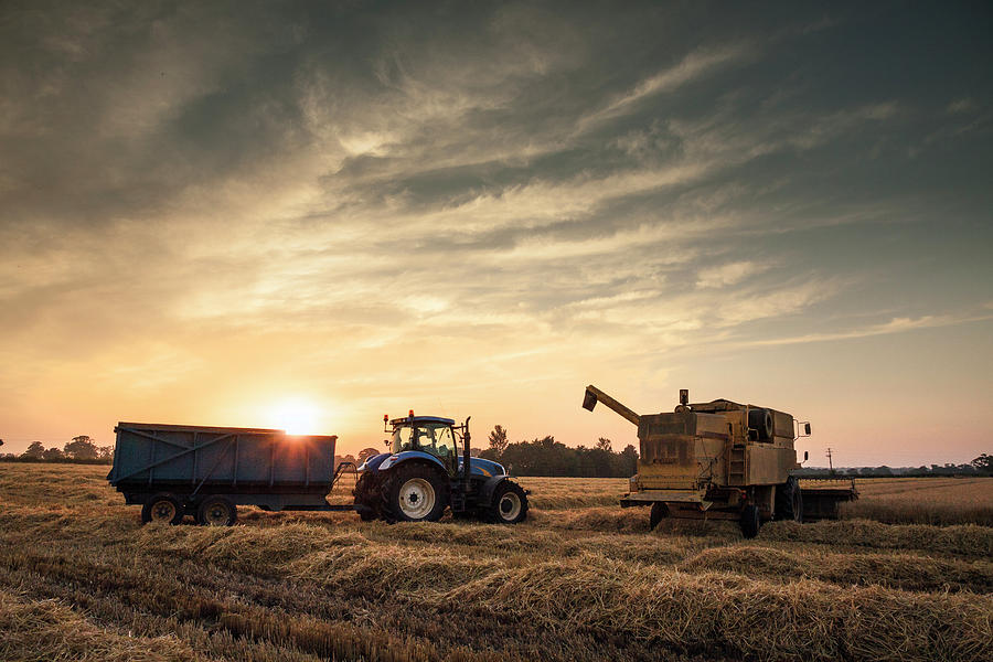 Evening Harvest Photograph by Image By Chris Winsor